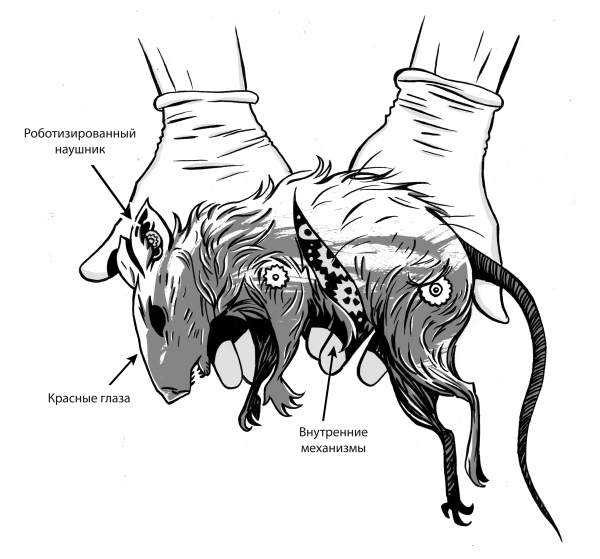 Иллюстрация к книге — Эвкалиптовый пришелец [i_010.jpg]