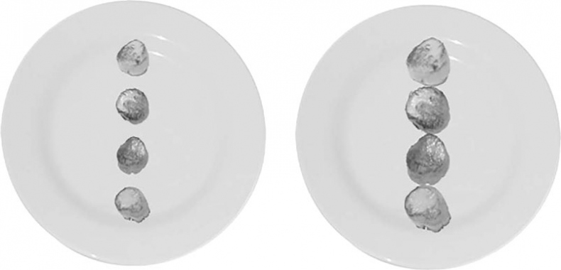 Иллюстрация к книге — Гастрофизика. Новая наука о питании [i_004.jpg]