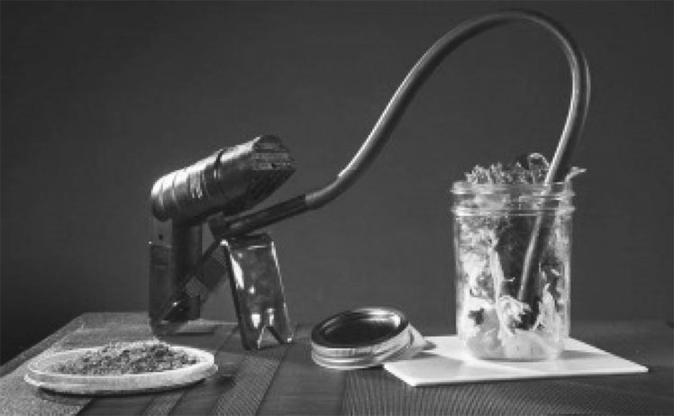 Иллюстрация к книге — Гастрофизика. Новая наука о питании [i_010.jpg]