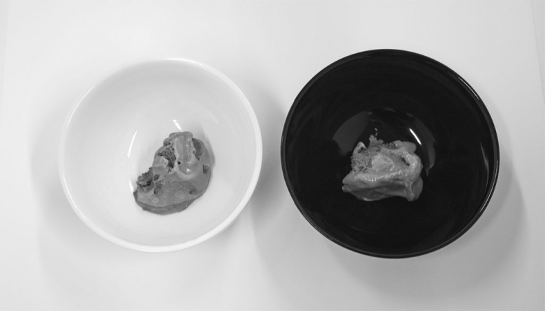 Иллюстрация к книге — Гастрофизика. Новая наука о питании [i_013.jpg]