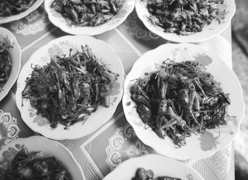 Иллюстрация к книге — Гастрофизика. Новая наука о питании [i_021.jpg]