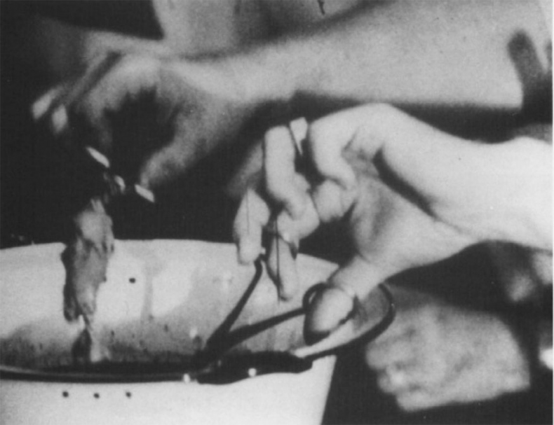 Иллюстрация к книге — Гастрофизика. Новая наука о питании [i_048.jpg]