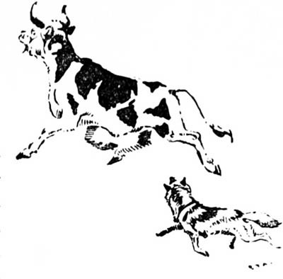 Иллюстрация к книге — Зверь (сборник) [i_003.jpg]