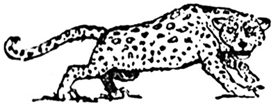 Иллюстрация к книге — Зверь (сборник) [i_007.jpg]