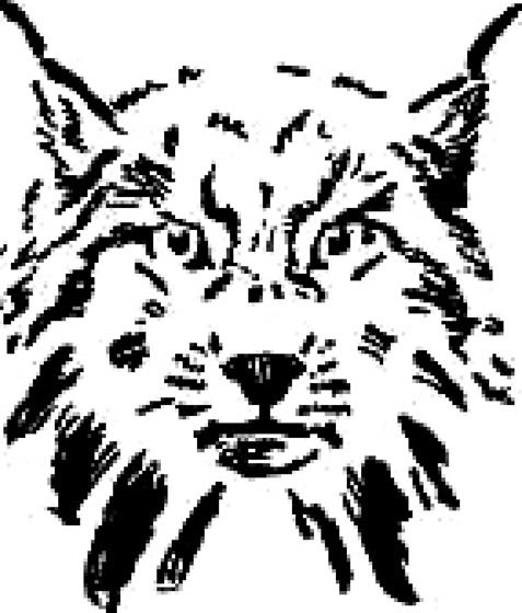 Иллюстрация к книге — Зверь (сборник) [i_012.jpg]