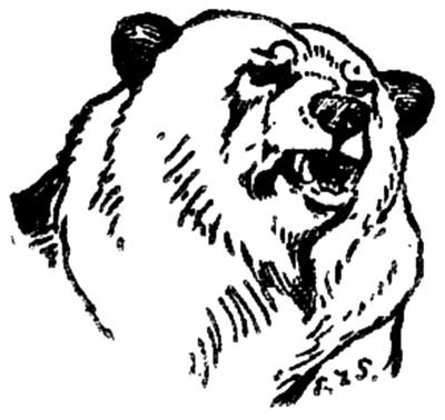 Иллюстрация к книге — Зверь (сборник) [i_019.jpg]