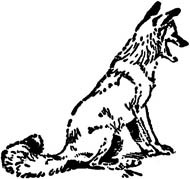 Иллюстрация к книге — Зверь (сборник) [i_022.jpg]