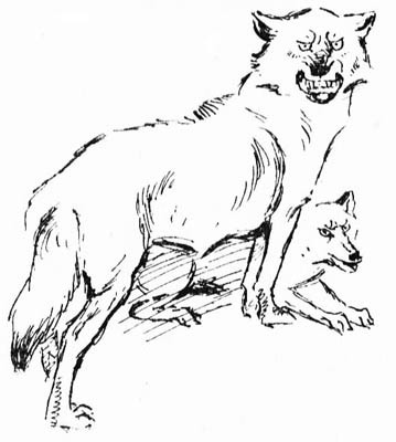 Иллюстрация к книге — Зверь (сборник) [i_028.jpg]