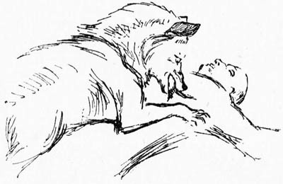 Иллюстрация к книге — Зверь (сборник) [i_029.jpg]