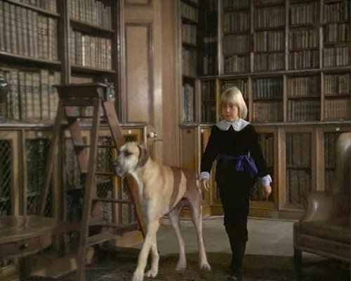 Иллюстрация к книге — Маленький лорд Фаунтлерой (с ред. Шенина) [i_030.jpg]