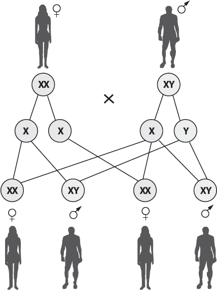 Иллюстрация к книге — Как начать думать в понедельник и не перестать во вторник [i_040.jpg]