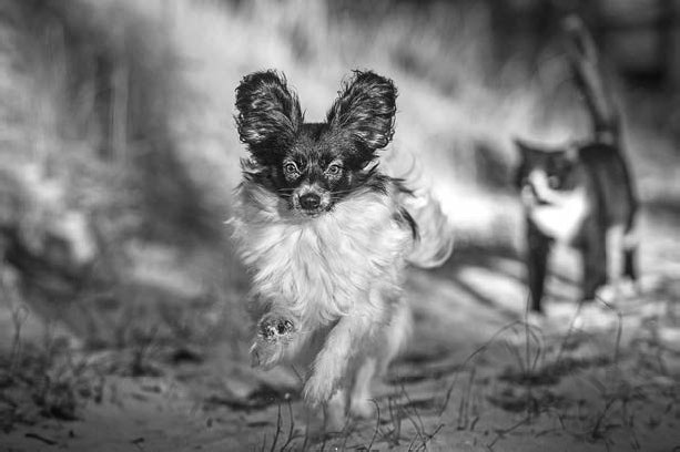 Иллюстрация к книге — Как начать думать в понедельник и не перестать во вторник [i_049.jpg]