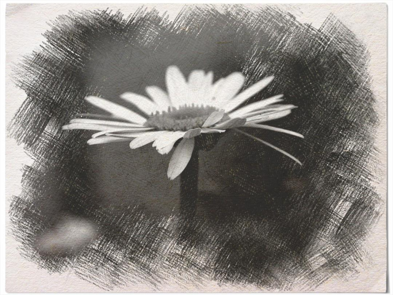 Иллюстрация к книге — Вы все жжете! Часть 1 [_8f3fbda8a0584cbbbf141ac1e8cdd523.jpg]