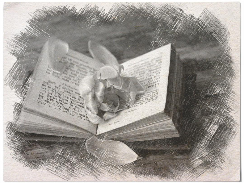 Иллюстрация к книге — Вы все жжете! Часть 2 [_25054217bdf14a839172e9e1fc8e91ab.jpg]