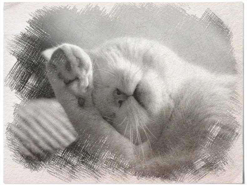 Иллюстрация к книге — Вы все жжете! Часть 2 [_4efa97899062432cabe166afc81cd06f.jpg]