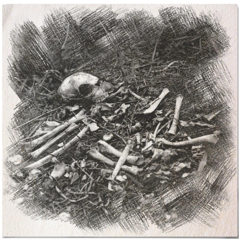 Иллюстрация к книге — Вы все жжете! Часть 2 [_8297127ac6914fdd92e5d6bd1dd9ea53.jpg]