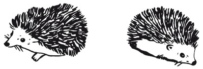 Иллюстрация к книге — 25 граммов счастья. История маленького ежика, который изменил жизнь человека [i_008.jpg]