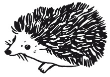 Иллюстрация к книге — 25 граммов счастья. История маленького ежика, который изменил жизнь человека [i_009.jpg]