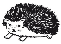 Иллюстрация к книге — 25 граммов счастья. История маленького ежика, который изменил жизнь человека [i_017.jpg]