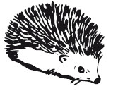 Иллюстрация к книге — 25 граммов счастья. История маленького ежика, который изменил жизнь человека [i_020.jpg]