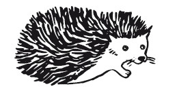 Иллюстрация к книге — 25 граммов счастья. История маленького ежика, который изменил жизнь человека [i_022.jpg]