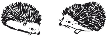 Иллюстрация к книге — 25 граммов счастья. История маленького ежика, который изменил жизнь человека [i_024.jpg]