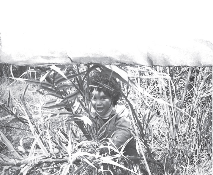 Иллюстрация к книге — Slash. Демоны рок-н-ролла в моей голове [i_005.jpg]