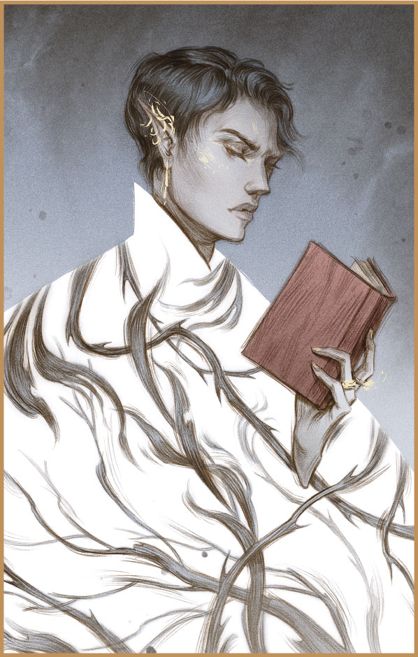 Иллюстрация к книге — Как король Эльфхейма научился ненавидеть истории [i_002.jpg]