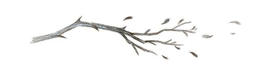 Иллюстрация к книге — Как король Эльфхейма научился ненавидеть истории [i_023.jpg]