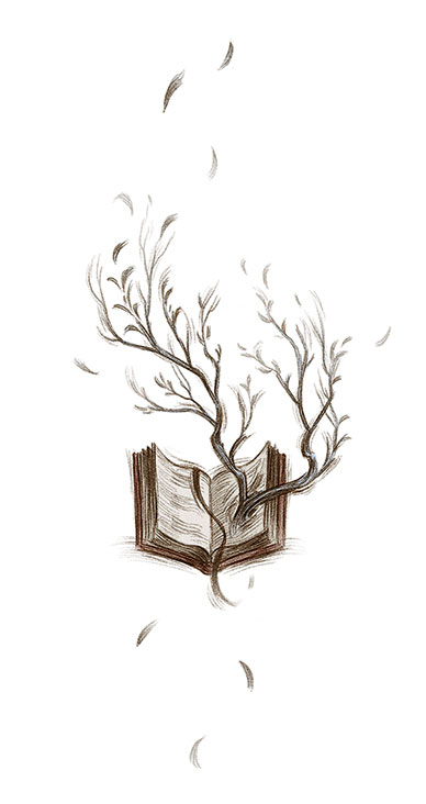 Иллюстрация к книге — Как король Эльфхейма научился ненавидеть истории [i_033.jpg]