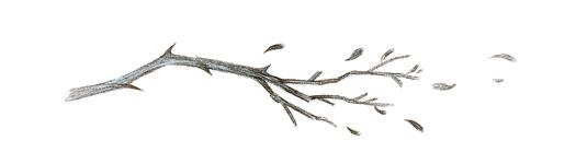 Иллюстрация к книге — Как король Эльфхейма научился ненавидеть истории [i_049.jpg]