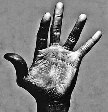 Иллюстрация к книге — Психология руки. Полный обзор теории и практики хиромантии [_06.jpg]