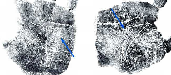 Иллюстрация к книге — Психология руки. Полный обзор теории и практики хиромантии [_13.jpg]
