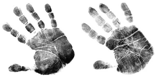 Иллюстрация к книге — Психология руки. Полный обзор теории и практики хиромантии [_15.jpg]