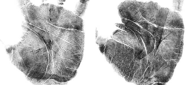 Иллюстрация к книге — Психология руки. Полный обзор теории и практики хиромантии [_17.jpg]