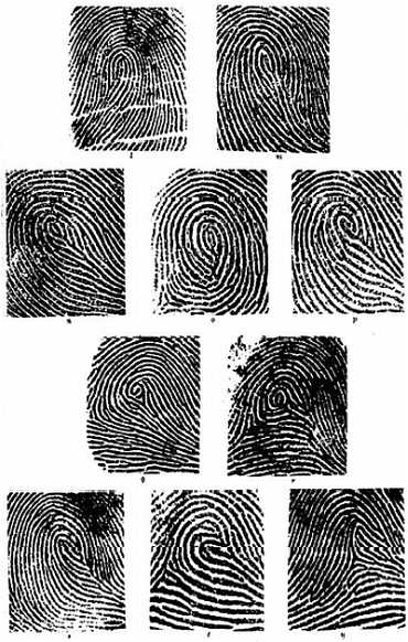 Иллюстрация к книге — Психология руки. Полный обзор теории и практики хиромантии [_22.jpg]