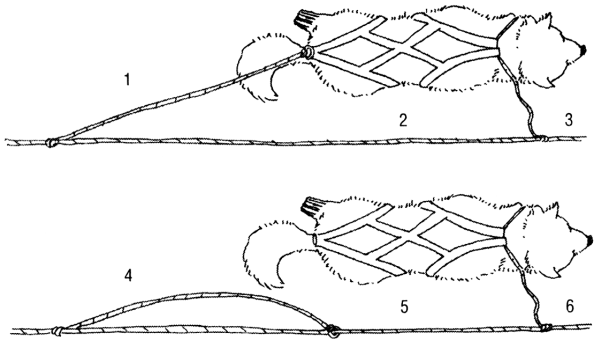 Иллюстрация к книге — Дикая одиссея. 6 000 км по Сибири, Китаю и Монголии с моими собаками [i_007.jpg]