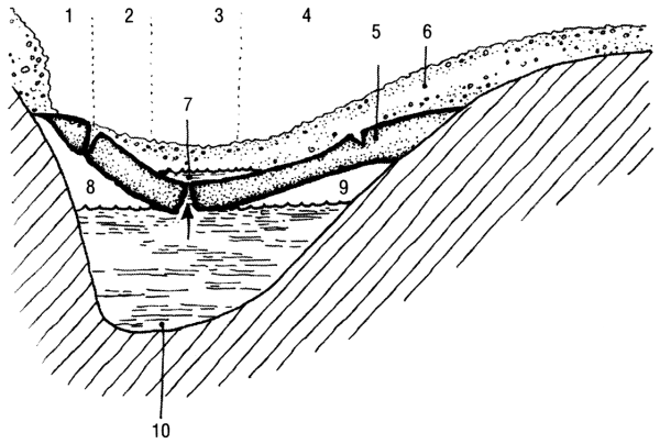 Иллюстрация к книге — Дикая одиссея. 6 000 км по Сибири, Китаю и Монголии с моими собаками [i_019.jpg]