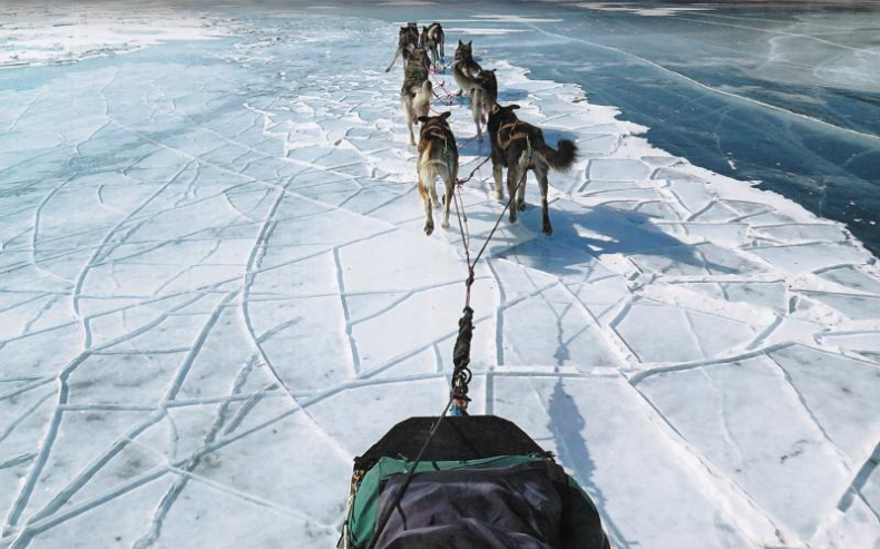 Иллюстрация к книге — Дикая одиссея. 6 000 км по Сибири, Китаю и Монголии с моими собаками [i_020.jpg]