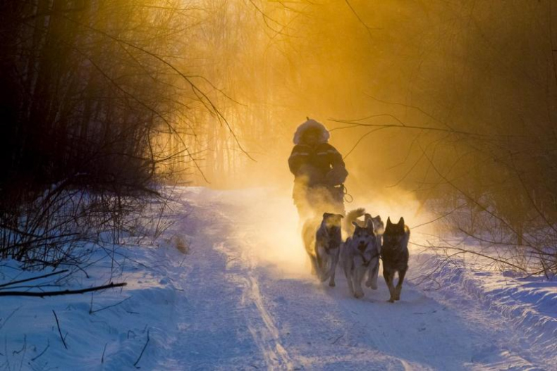Иллюстрация к книге — Дикая одиссея. 6 000 км по Сибири, Китаю и Монголии с моими собаками [i_025.jpg]