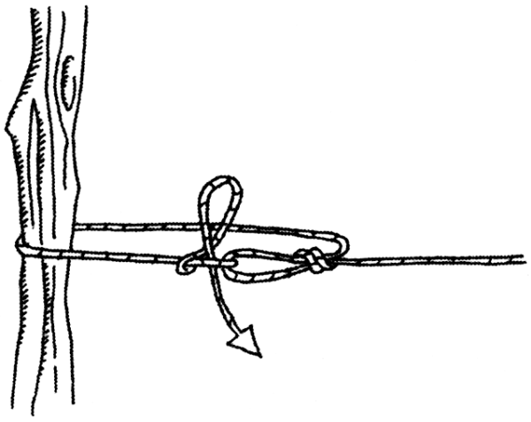 Иллюстрация к книге — Дикая одиссея. 6 000 км по Сибири, Китаю и Монголии с моими собаками [i_027.jpg]