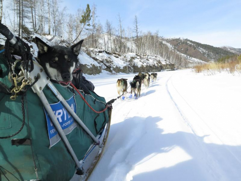 Иллюстрация к книге — Дикая одиссея. 6 000 км по Сибири, Китаю и Монголии с моими собаками [i_029.jpg]