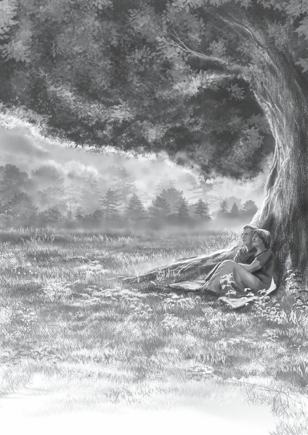 Иллюстрация к книге — Отражение тайны [i_016.jpg]