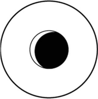 Иллюстрация к книге — Жизнь после утраты: Как справиться с горем и обрести надежду [i_011.jpg]