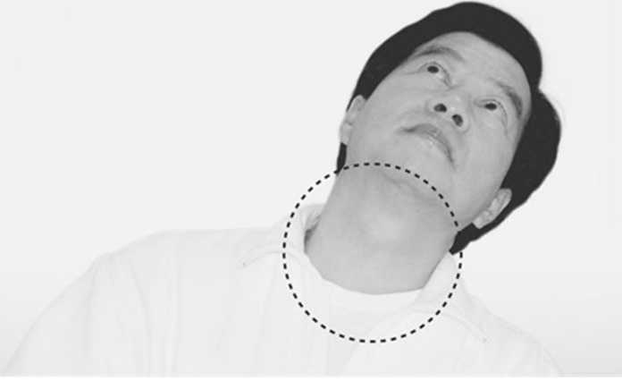 Иллюстрация к книге — Идеальное зрение без очков и операций. Восточные и западные методики естественного восстановления зрения [i_006.jpg]