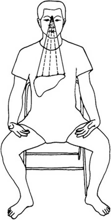 Иллюстрация к книге — Идеальное зрение без очков и операций. Восточные и западные методики естественного восстановления зрения [i_024.jpg]