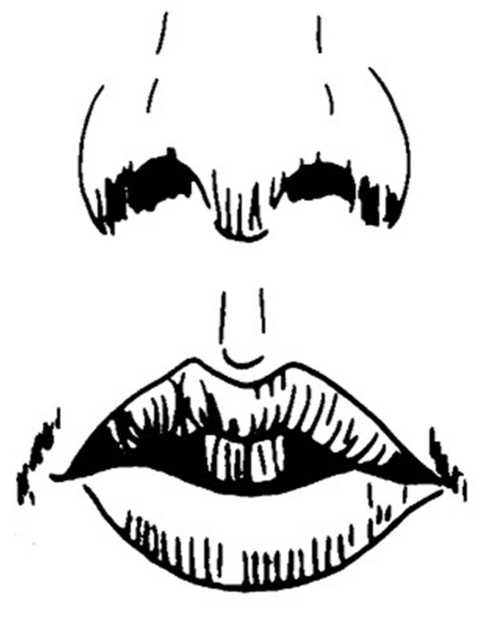 Иллюстрация к книге — Идеальное зрение без очков и операций. Восточные и западные методики естественного восстановления зрения [i_028.jpg]