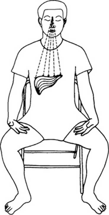 Иллюстрация к книге — Идеальное зрение без очков и операций. Восточные и западные методики естественного восстановления зрения [i_031.jpg]