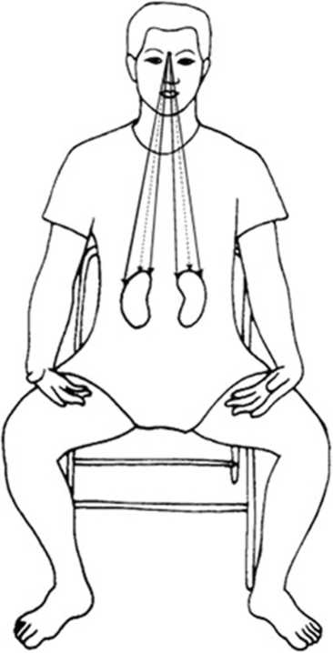 Иллюстрация к книге — Идеальное зрение без очков и операций. Восточные и западные методики естественного восстановления зрения [i_032.jpg]