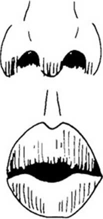 Иллюстрация к книге — Идеальное зрение без очков и операций. Восточные и западные методики естественного восстановления зрения [i_034.jpg]